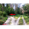 Zdjęcie nr 8