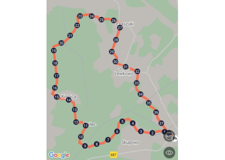 Trasa #5 Puszcza Ladzka - Rowerowe Podchody