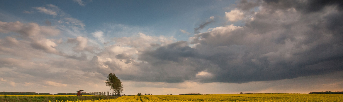 naturalny rytm życia