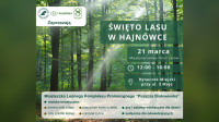 Świętu Lasu w Hajnówce 