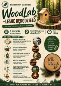 WoodLab – Leśne Rękodzieło