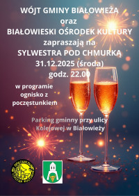 Sylwester pod chmurką w Białowieży 