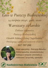 Lato w Puszczy Białowieskiej