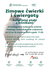 Zimowe ćwierki i świergoty 