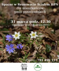 Spacer w Rezerwacie Ścisłym BPN dla mieszkańców gmin puszczańskich