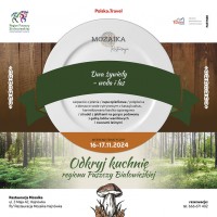 Weekend tematyczny Dwa żywioły – woda i las!