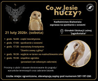 Wydarzenie edukacyjne o sowach pn. „Co w lesie huczy?”