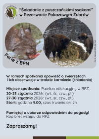 Ferie w Regionie Puszczy Białowieskiej: Śniadanie z puszczańskimi ssakami w Rezerwacie Pokazowym Żubrów