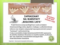 Warsztaty "Busłowa łapa"