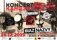 MUZYKA BEZ ZASTRZEŻEŃ — KONCERTY, KTÓRE ŁĄCZĄ!