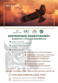 Mistrzowie przestworzy - warsztaty z ptakami drapieżnymi 