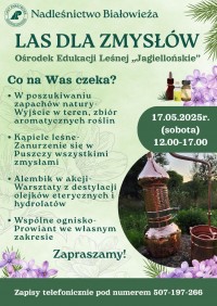 Wydarzenie edukacyjne "Las dla zmysłów"