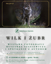 Wystawa fotografii Ryszarda Stasiewicza pt. „Wilk i Żubr”