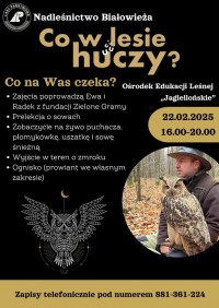 Co w lesie huczy?