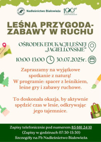 Leśna Przygoda – zabawy w ruchu