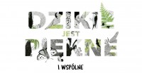 Festiwal Dzikie Jest Piękne