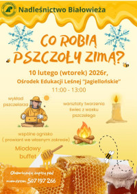 Spotkanie w Nadleśnictwie Białowieża "Co robią pszczoły zimą?"