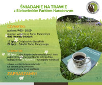 Śniadanie na trawie z Białowieskim Parkiem Narodowym 
