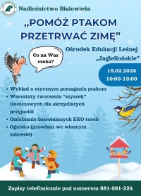 Pomóż ptakom przetrwać zimę