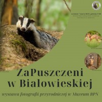 Wernisaż wystawy fotografii przyrodniczej "ZaPuszczeni w Białowieskiej"