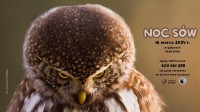 Noc Sów z Białowieskim Parkiem Narodowym