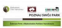 „Tropem Żubra” – zajęcia edukacyjne o żubrze