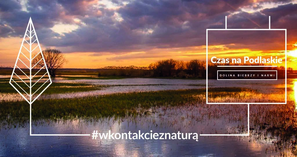 Dolina Biebrzy i Narwi fot. Wedrowki Wiatrem Podszyte Malgoski Pawelczyk