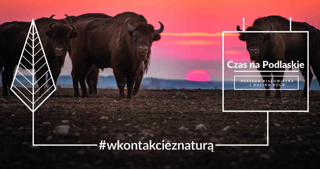 Puszcza Bialowieska i Dolina Bugu fot Rafal Olesiewicz Fotografia