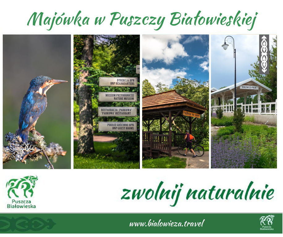 majowka w puszczy 01 1