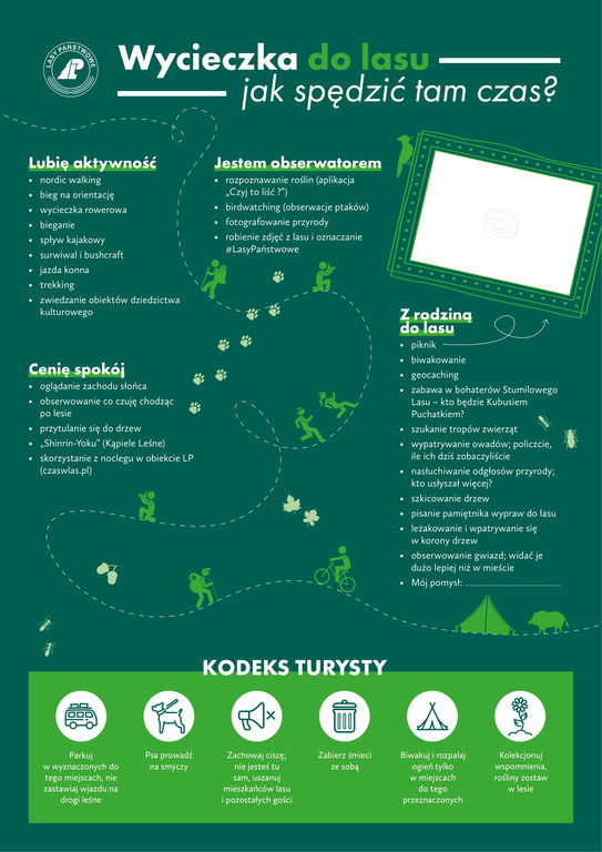 wycieczka do lasu jak spedzic tam czas 1