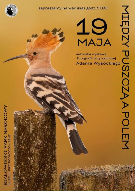 Adam Wysocki 19.05.2023