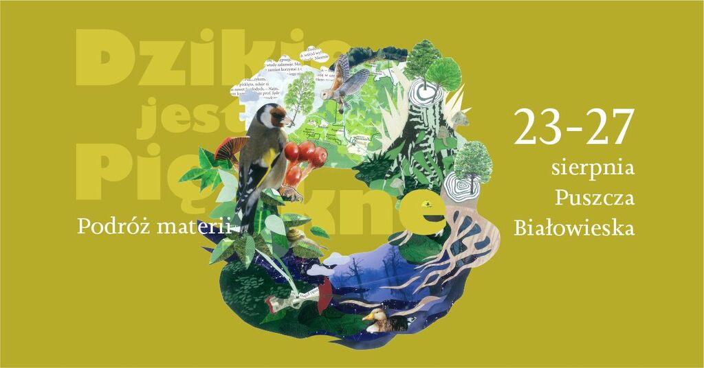 dzikie jest piekne 23 27.08.2023