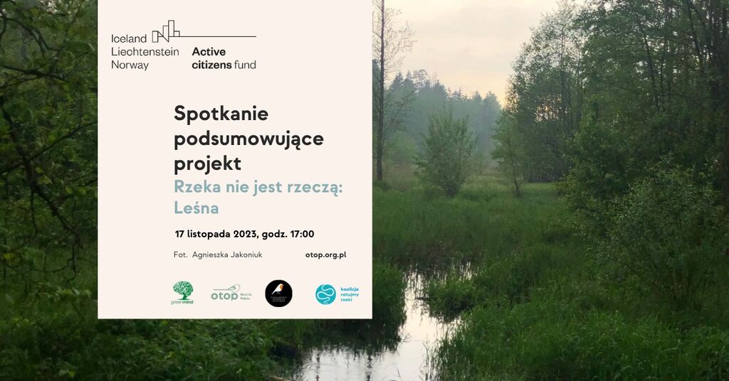 spotkanie podsumowujace 17.11.2023