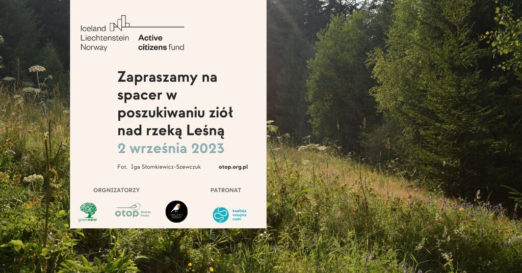 ziola lesna 02.09.2023