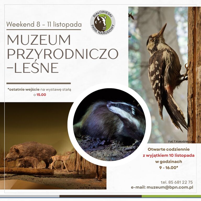 571728430 1140761254888368 1217346788697006740 n