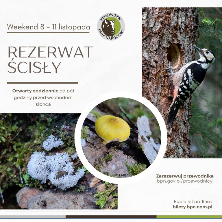 572906951 1140761591555001 507832795813679915 n