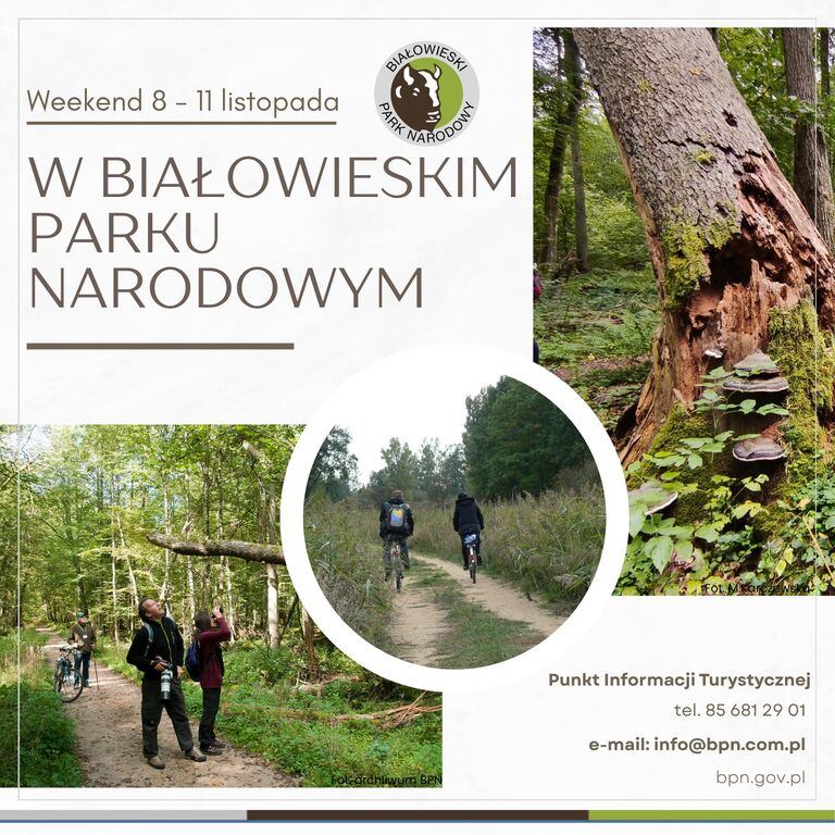 573942443 1140760774888416 4817144661148170691 n