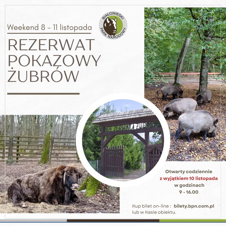 574022141 1140761458221681 5539559387371511245 n