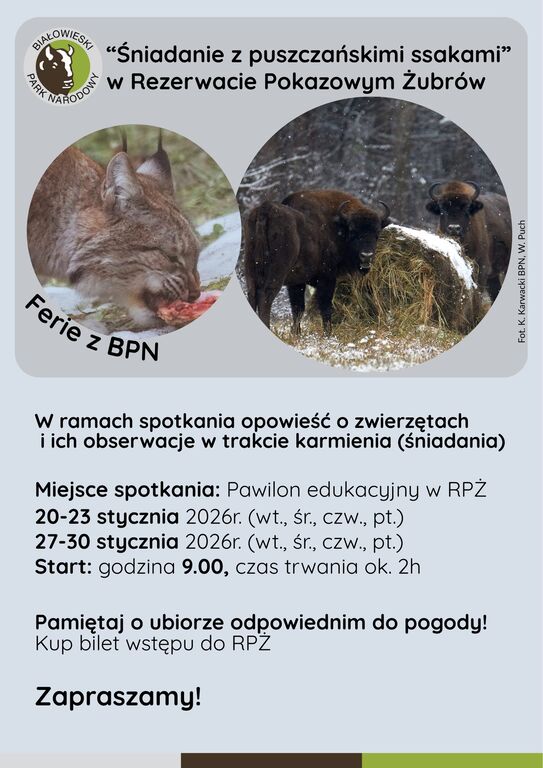 616174247 1197648005866359 8625731548724494976 n