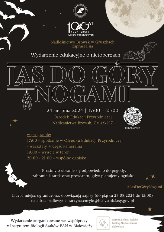 Las do gory nogami 24.08.2024