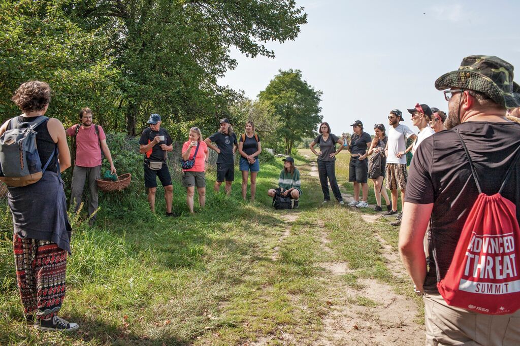 Male Dzikie fot. Magda Skrzeczkowska 3