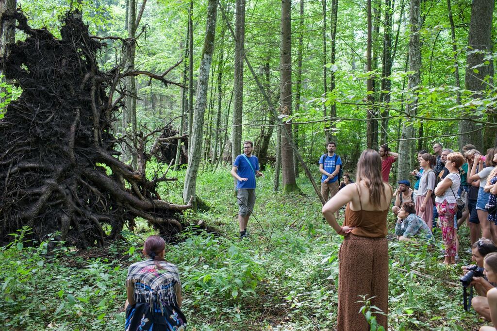 Male Dzikie fot. Magda Skrzeczkowska