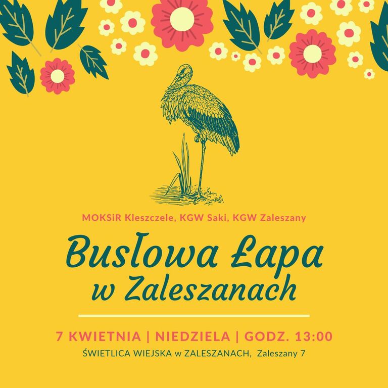 buslowa lapa 07.04.2024
