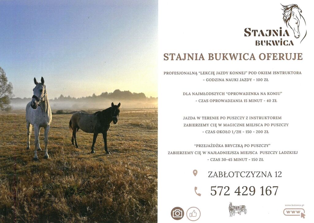 mobilna wypozyczalnia stajnia buwkica 2
