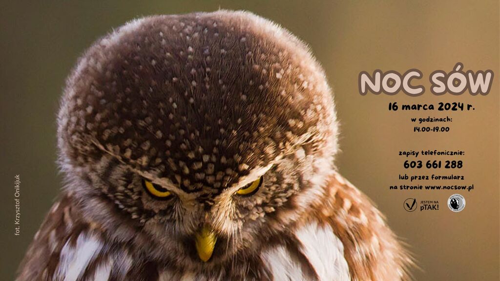 noc sow 16.03.2024