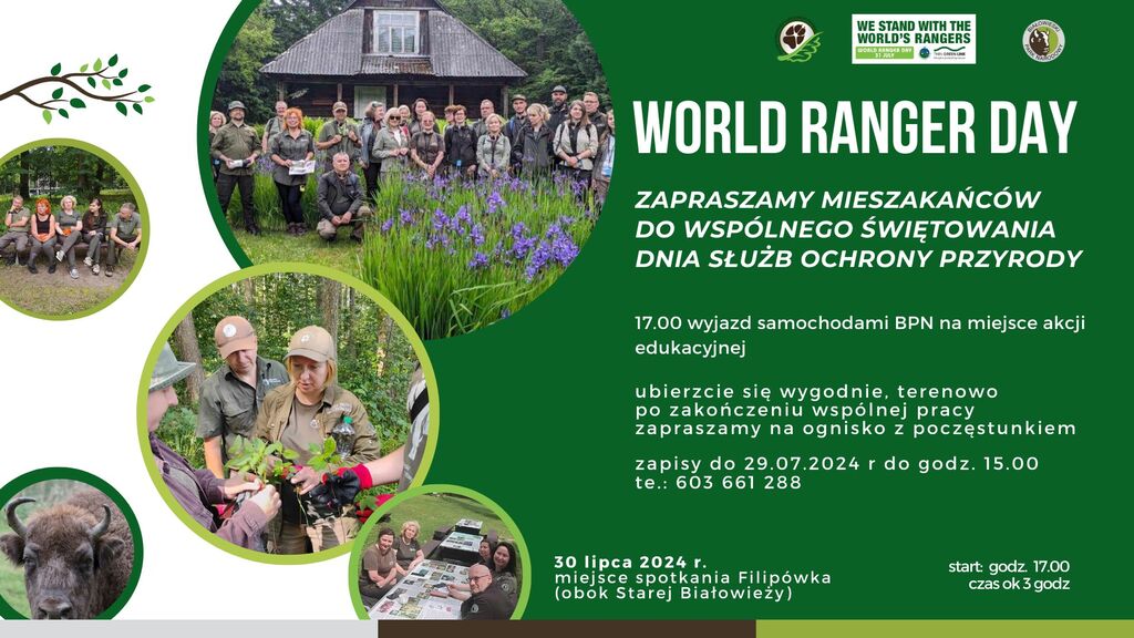 word ranger day2