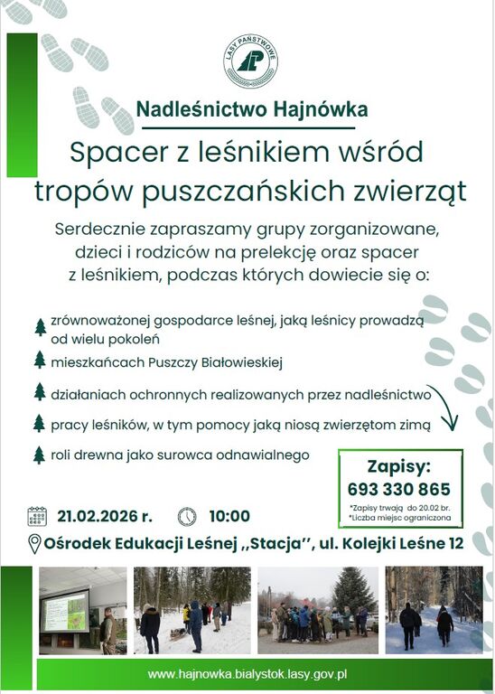 Zrzut ekranu 2026 02 17 120329