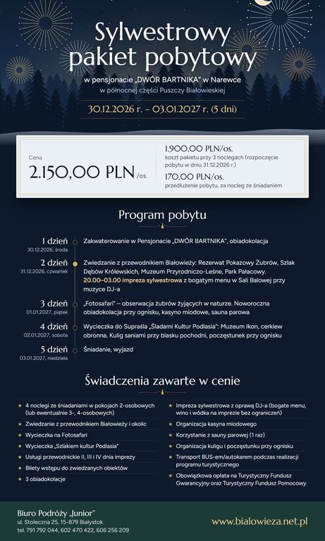 plakat sylwestrowy