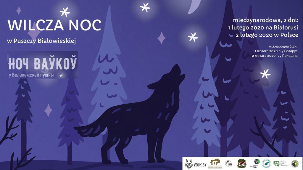 wilcza noc w puszczy