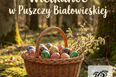 Wielkanoc w sercu natury: Odkryj świąteczne propozycje Regionu Puszczy Białowieskiej
